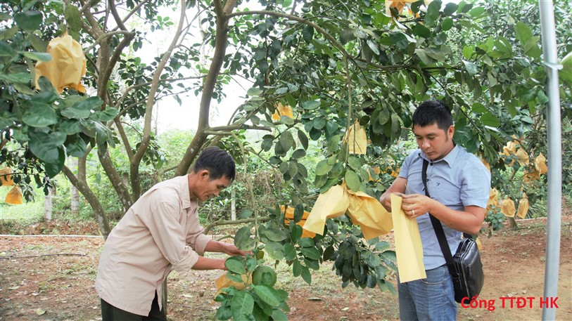 Cơ sở sản xuất bao qủa Trường Sơn- Người Việt dùng hàng Việt. 